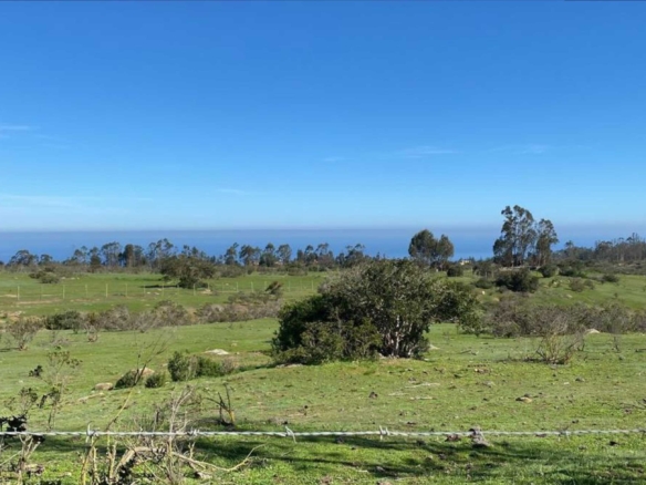 Parcela Costa Tunquen