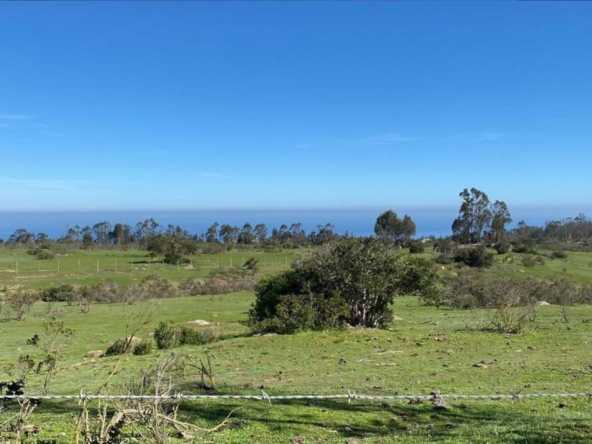 Parcela Costa Tunquen