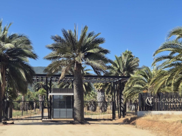 Parcela Valle de Tapihue Casablanca - Domingo Propiedades