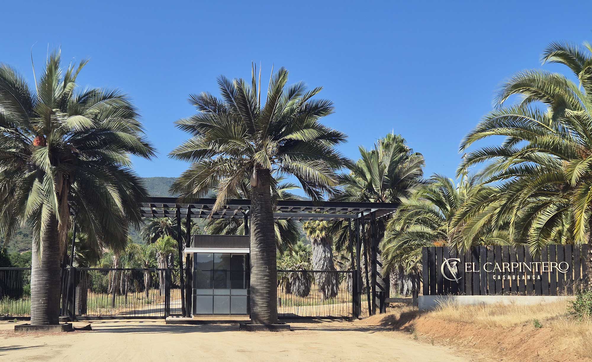 Parcela Valle de Tapihue Casablanca - Domingo Propiedades